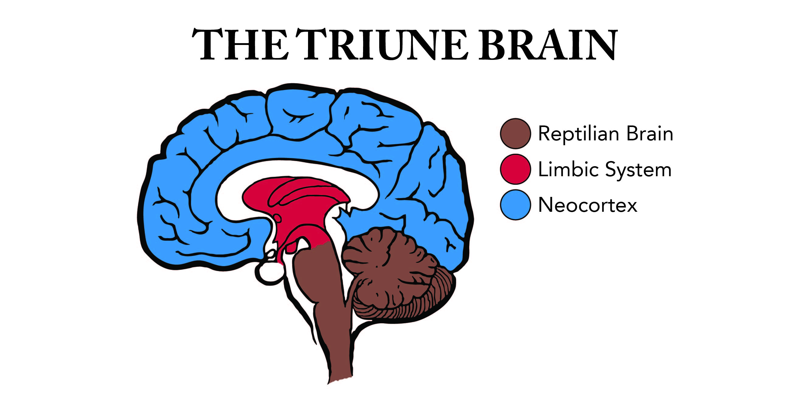 Triune Brain-01_0