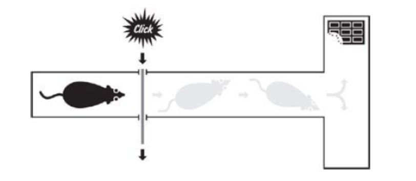 Untitled picture1.png