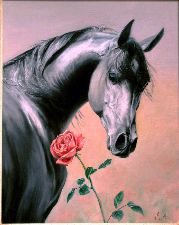 horse_and_rose_by_stefan69.jpg